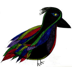 RED winged blackbird by David Francey, Drawing by Steve Einhorn